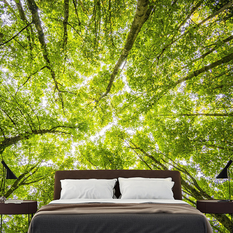 Contemporary Forest Wall Mural Decor Horizontal Photography Eco-friendly for Decoration