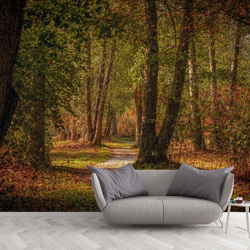 Huge Forest Mural Horizontal Photography Wall Covering for Dining Room