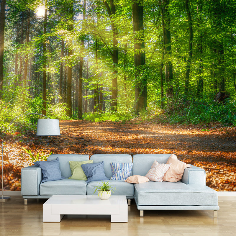 Forest Wall Mural Decor Horizontal Photography Eco-friendly for Decoration