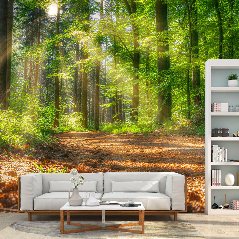 Forest Wall Mural Decor Horizontal Photography Eco-friendly for Decoration
