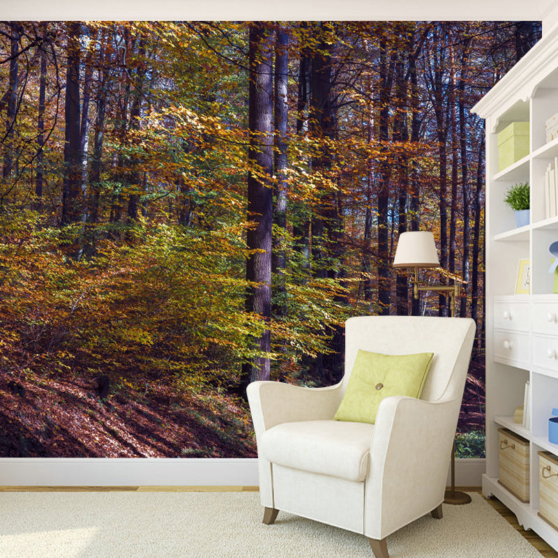 Forest Mural Mildew Resistant Contemporary Wall Covering for Dining Room