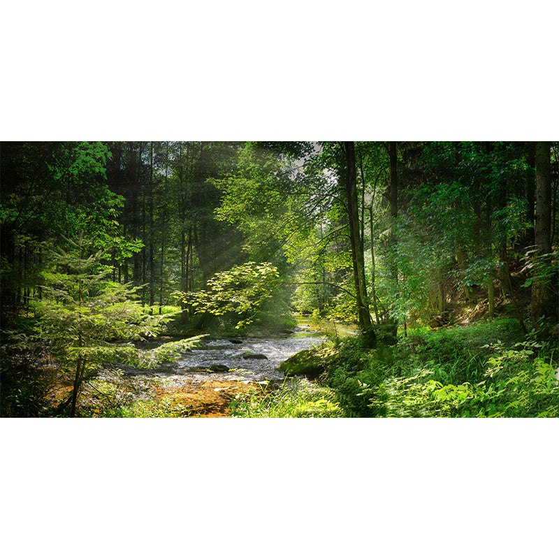 Huge Forest Mural Horizontal Photography Wall Covering for Living Room