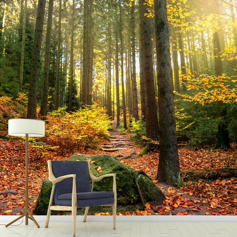 Huge Forest Mural Horizontal Photography Wall Covering for Living Room