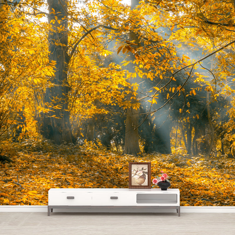 Modern Forest Wall Mural Decor Horizontal Photography Eco-friendly for Decoration