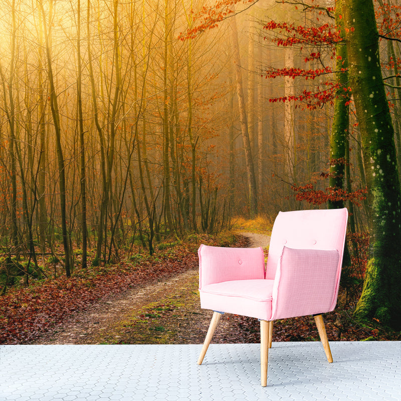 Modern Forest Wall Mural Decor Horizontal Photography Eco-friendly for Decoration