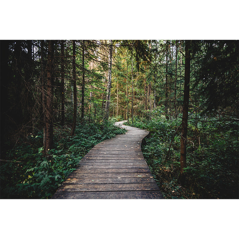 Modern Forest Wall Mural Decor Horizontal Photography Eco-friendly for Decoration