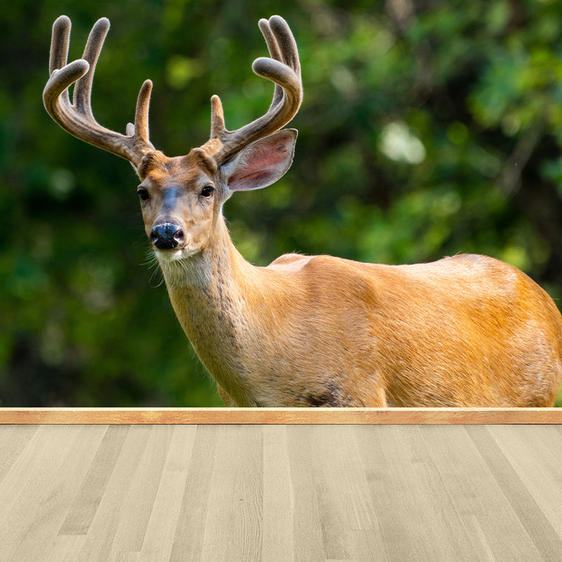 Lifelike Deer Animal Mural Moisture Resistant Living Room Wall Covering
