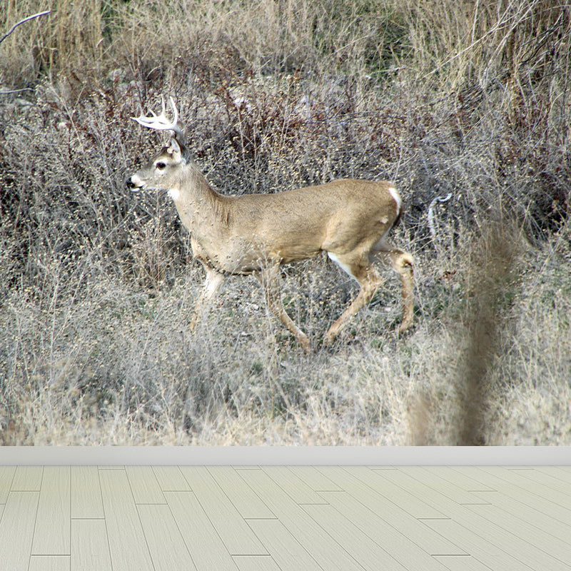 Deer Animal Wall Mural Wallpaper Photography Horizontal Wall Decor for Home