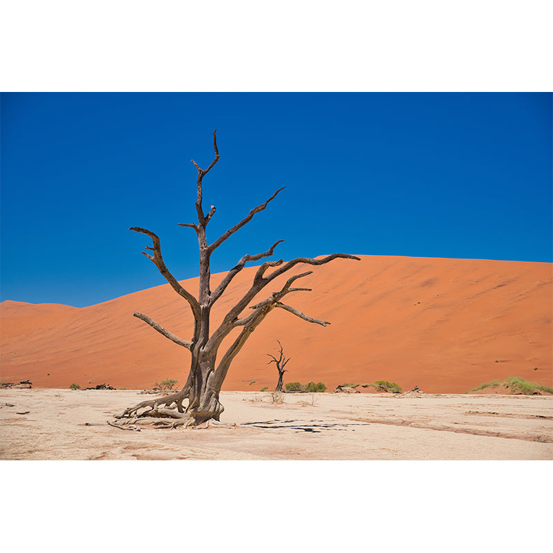 Desert Scenery Removable Wall Mural for Living Room Bedroom, Made to Measure