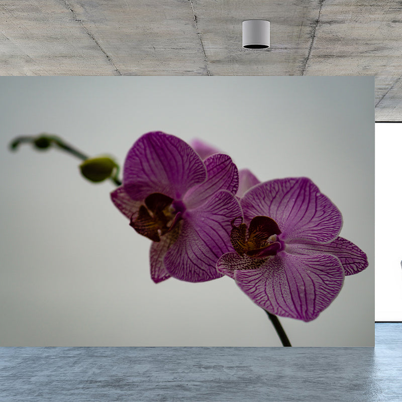 Modern Girl Room Decoration Orchid Mural Wallpaper, Custom Size Available