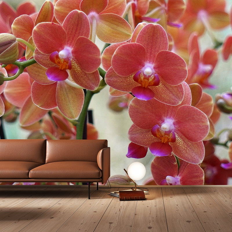 Modern Girl Room Decoration Orchid Mural Wallpaper, Custom Size Available