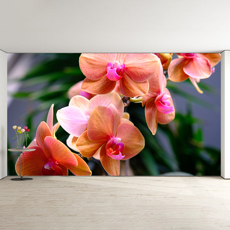 Beautiful Orchid Photo Mural Wallpaper Moisture Resistant Art, Custom Size Available