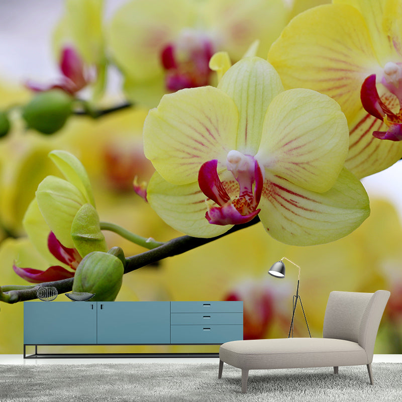 Beautiful Orchid Photo Mural Wallpaper Moisture Resistant Art, Custom Size Available