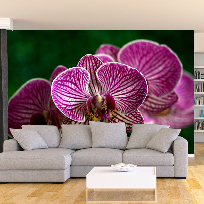 Beautiful Orchid Photo Mural Wallpaper Moisture Resistant Art, Custom Size Available