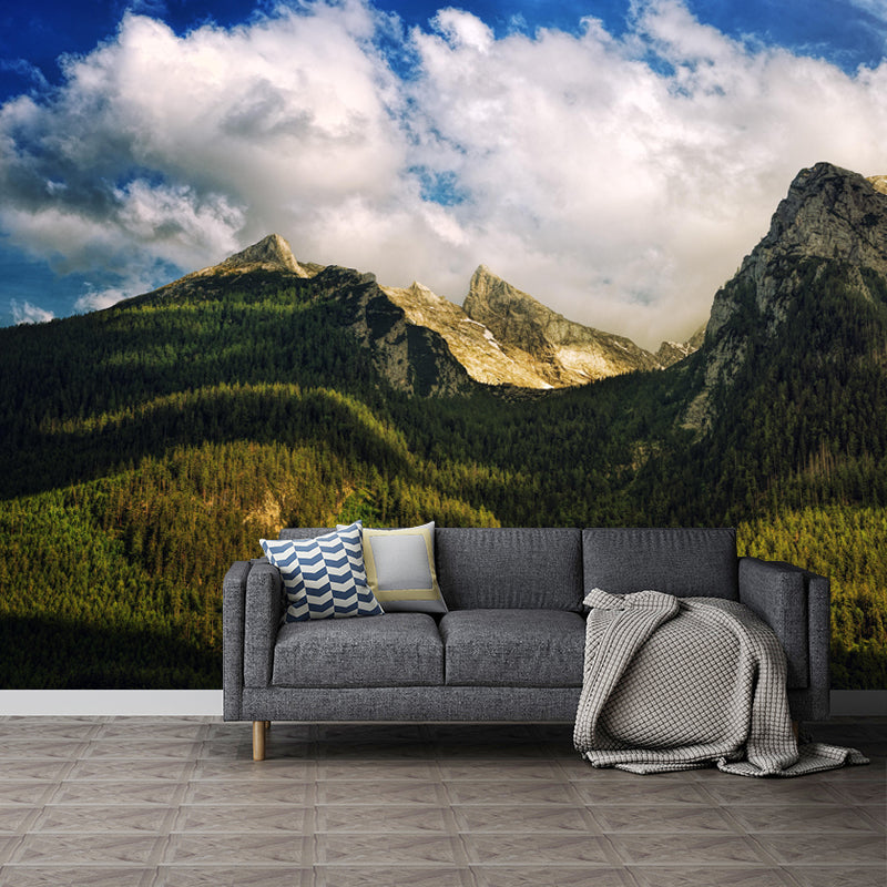 Customized Huge Mountain Mural Wallpaper Contemporary for Sleeping Room Decor