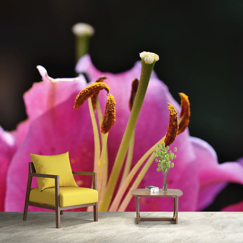 Customized Blooming Lily Mural Wallpaper Contemporary for Guest Room Decor