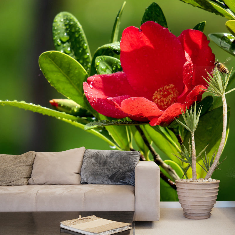Customized Blooming Camellia Mural Wallpaper Contemporary for Guest Room