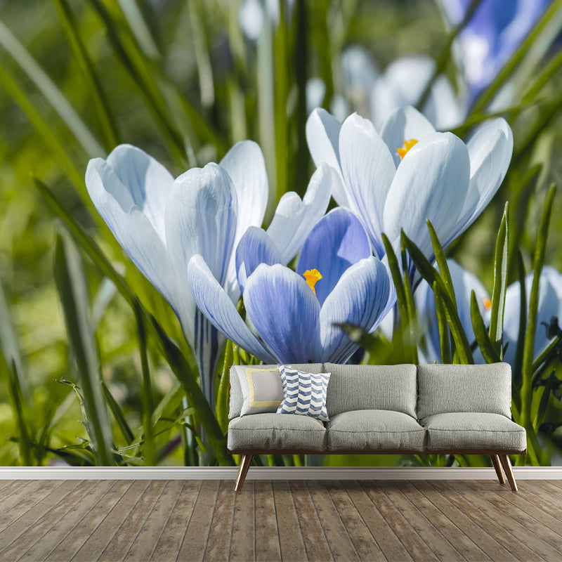 Blooming Saffron Environment Friendly Mural Wall Covering for Sleeping Room