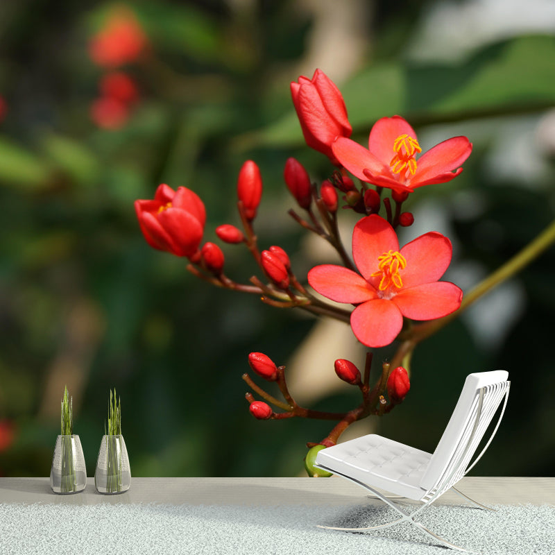 Customized Blooming Begonia Mural Wallpaper Contemporary for Guest Room Decor