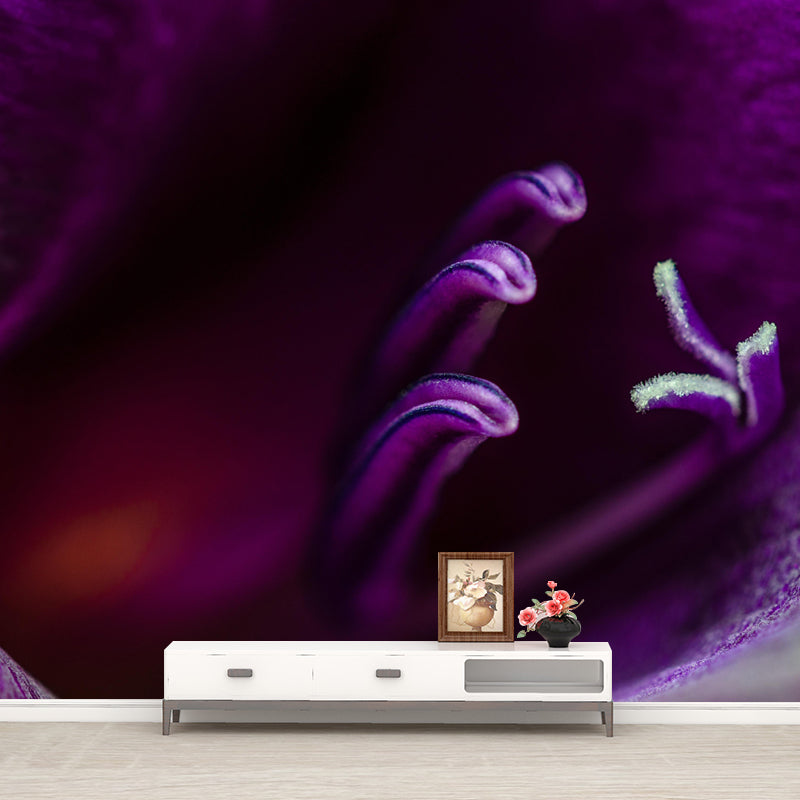Gladiolus Wall Mural Decorative Mildew Resistant Home Decoration for Bedroom