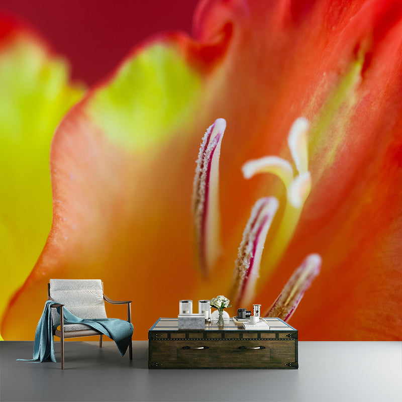 Gladiolus Wall Mural Decorative Mildew Resistant Home Decoration for Bedroom