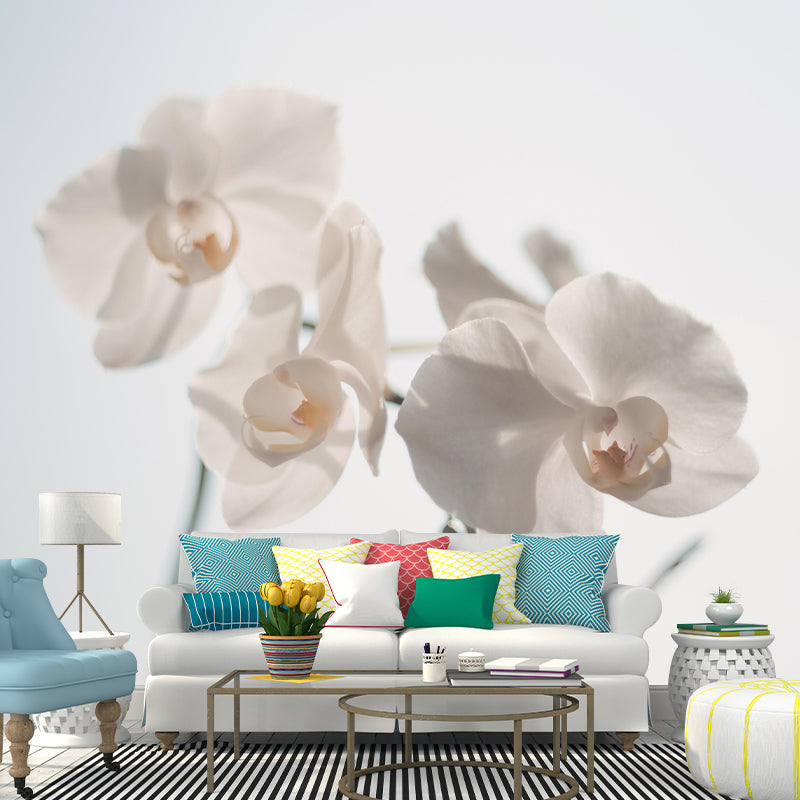 Customized Blooming Orchid Mural Wallpaper Contemporary for Guest Room Decor
