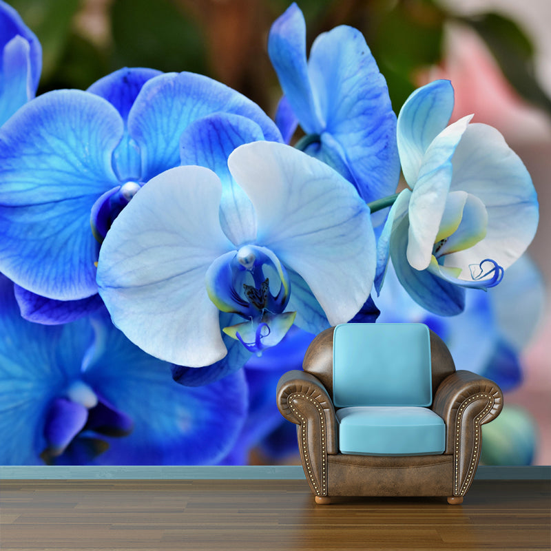 Customized Blooming Orchid Mural Wallpaper Contemporary for Guest Room Decor