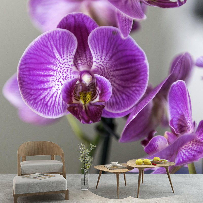 Customized Blooming Orchid Mural Wallpaper Contemporary for Guest Room Decor