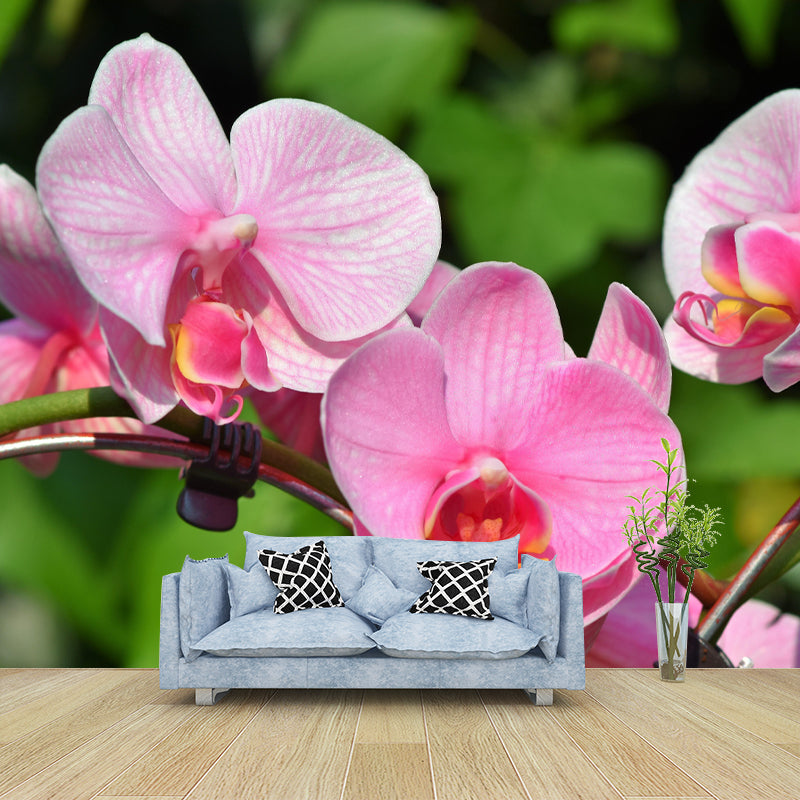 Customized Blooming Orchid Mural Wallpaper Contemporary for Guest Room Decor