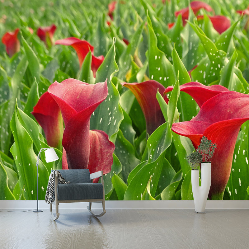 Customized Blooming Calla Mural Wallpaper Contemporary for Guest Room Decor