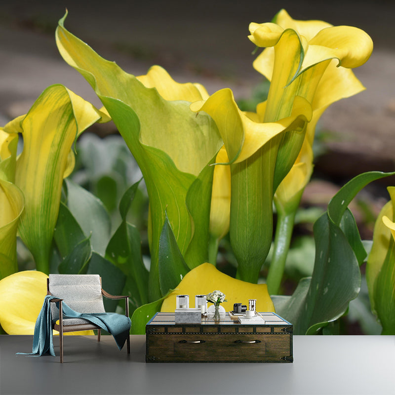 Customized Blooming Calla Mural Wallpaper Contemporary for Guest Room Decor