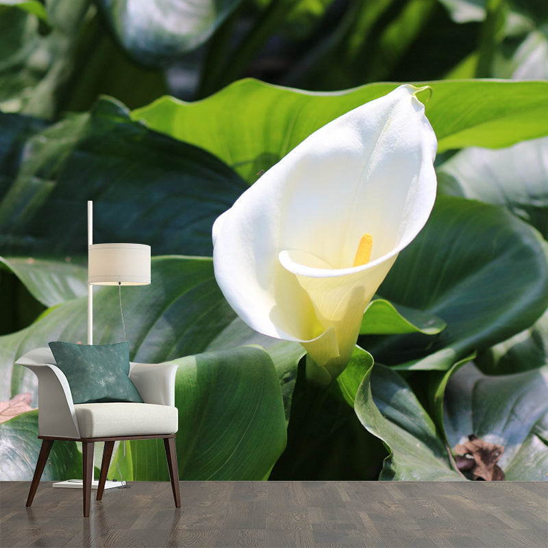 Customized Blooming Calla Mural Wallpaper Contemporary for Guest Room Decor