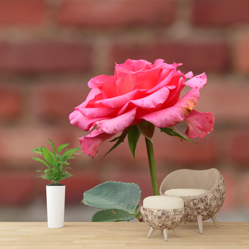 Customized Blooming Rose Mural Wallpaper Contemporary for Guest Room Decor