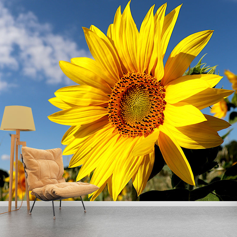 Customized Blooming Sunflower Mural Wallpaper Contemporary for Guest Room Decor