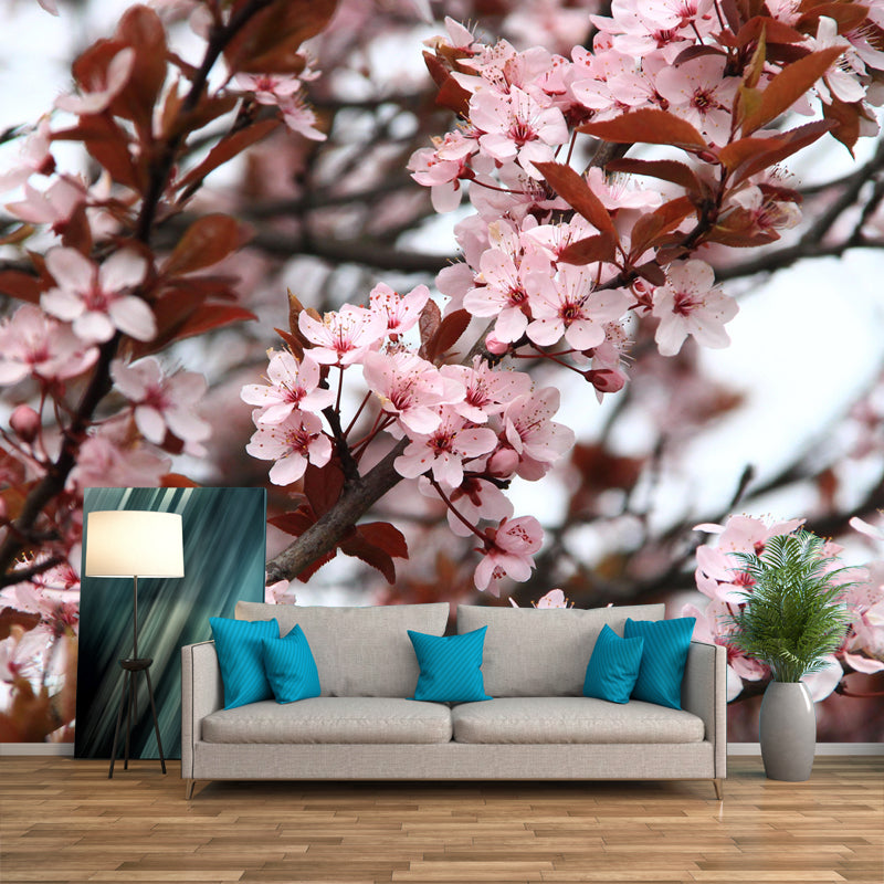 Customized Cherry Blossoms Mural Wallpaper Contemporary for Guest Room Decor