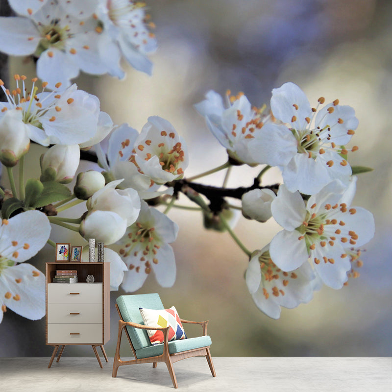 Customized Cherry Blossoms Mural Wallpaper Contemporary for Guest Room Decor
