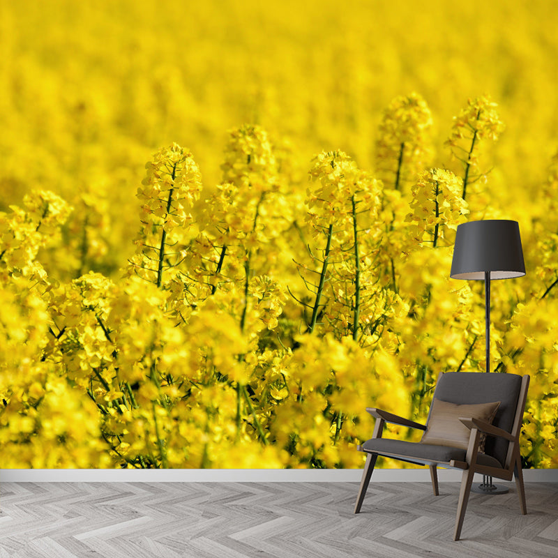 Customized Rape Blossoms Wall Mural Decal Moisture Resistant Wall Decor