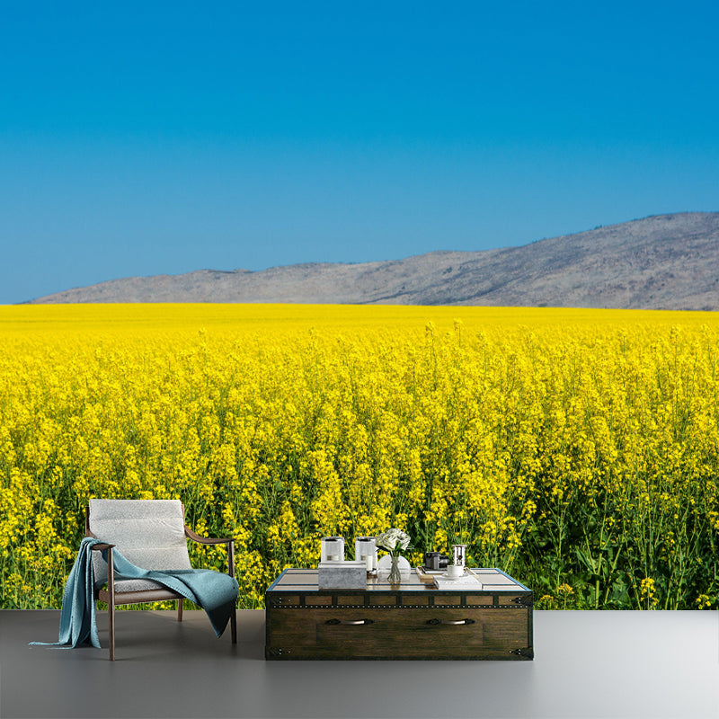 Customized Rape Blossoms Wall Mural Decal Moisture Resistant Wall Decor