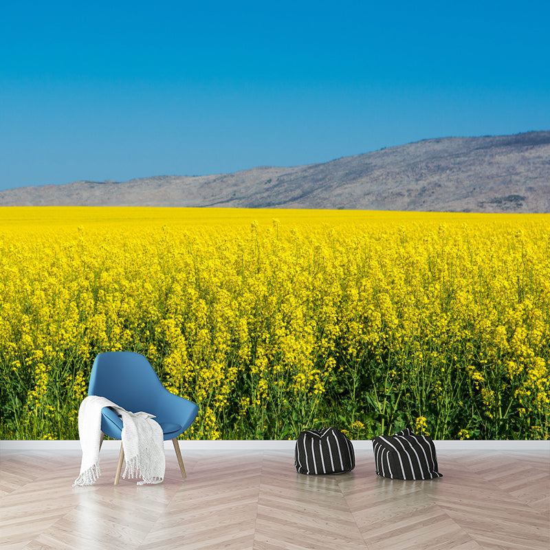 Customized Rape Blossoms Wall Mural Decal Moisture Resistant Wall Decor