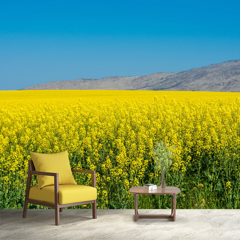 Customized Rape Blossoms Wall Mural Decal Moisture Resistant Wall Decor