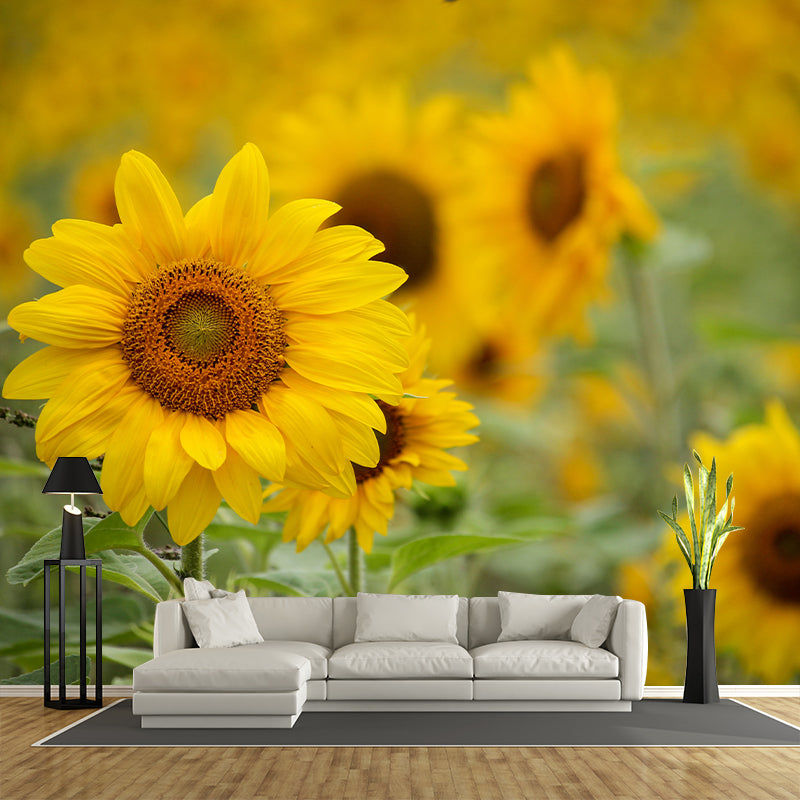 Sunflower Yellow Color Mural Wallpaper for Sleeping Room, Stain Resistant