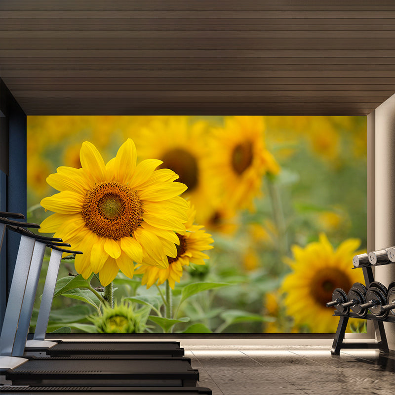 Sunflower Yellow Color Mural Wallpaper for Sleeping Room, Stain Resistant