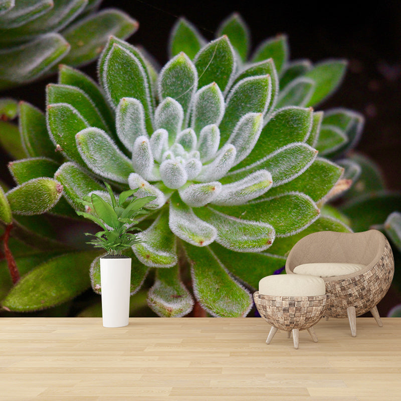 Indoor Decoration Plants Wall Mural for Living Room Bedroom, Made to Measure