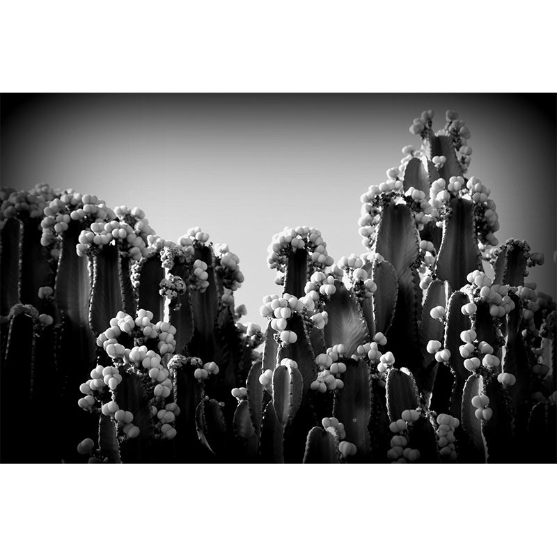 Cactus Plant Mural Wall Decor Mildew Resistant Wall Mural for Decoration