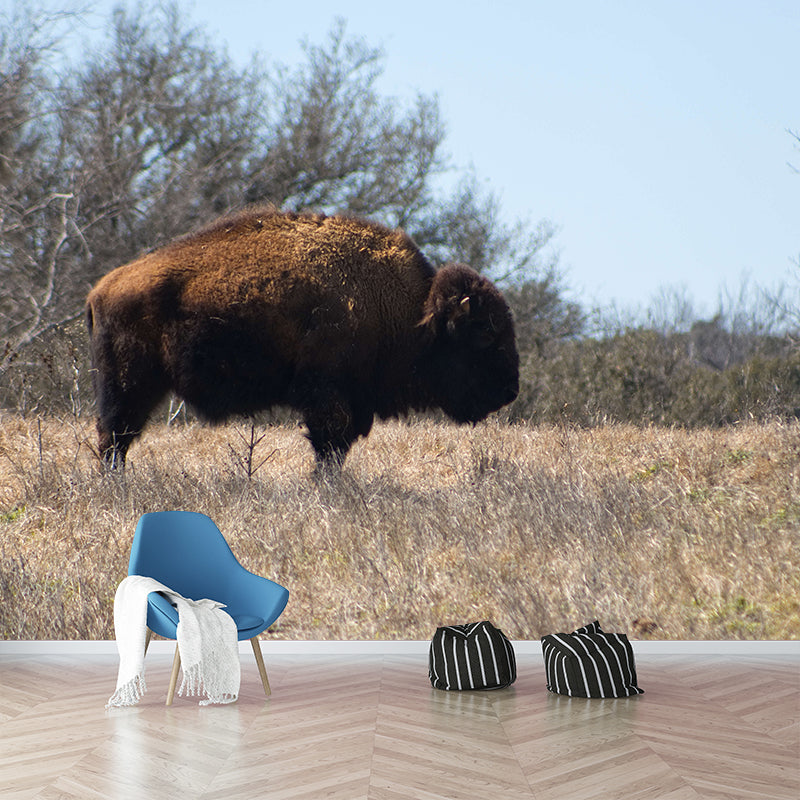 Bison Animal Wall Covering for Home Decor Water Resistant, Made to Measure