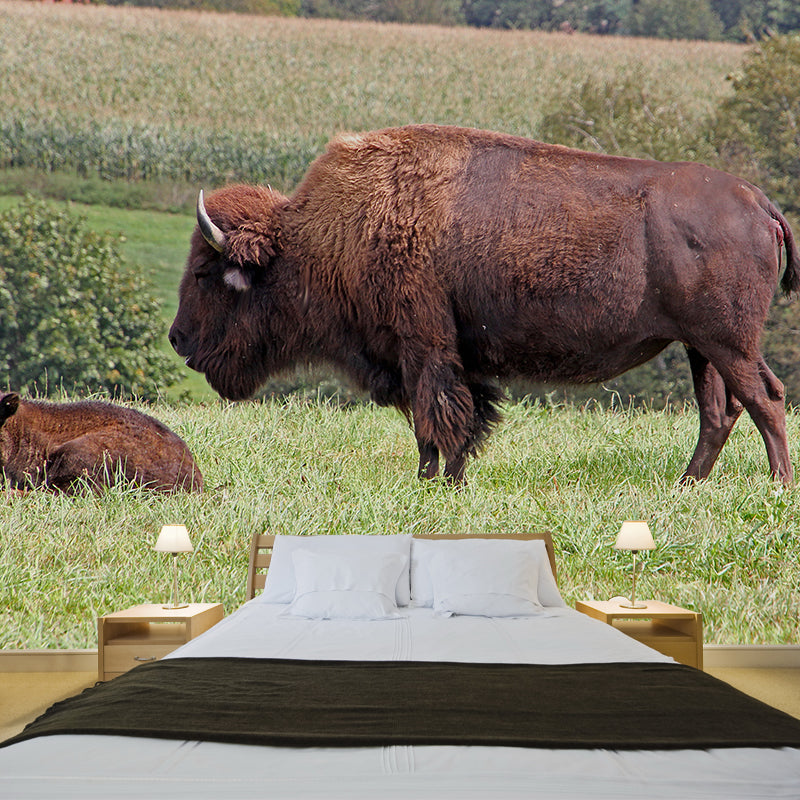Bison Wall Covering for Sitting Room Water Resistant Mural, Made to Measure