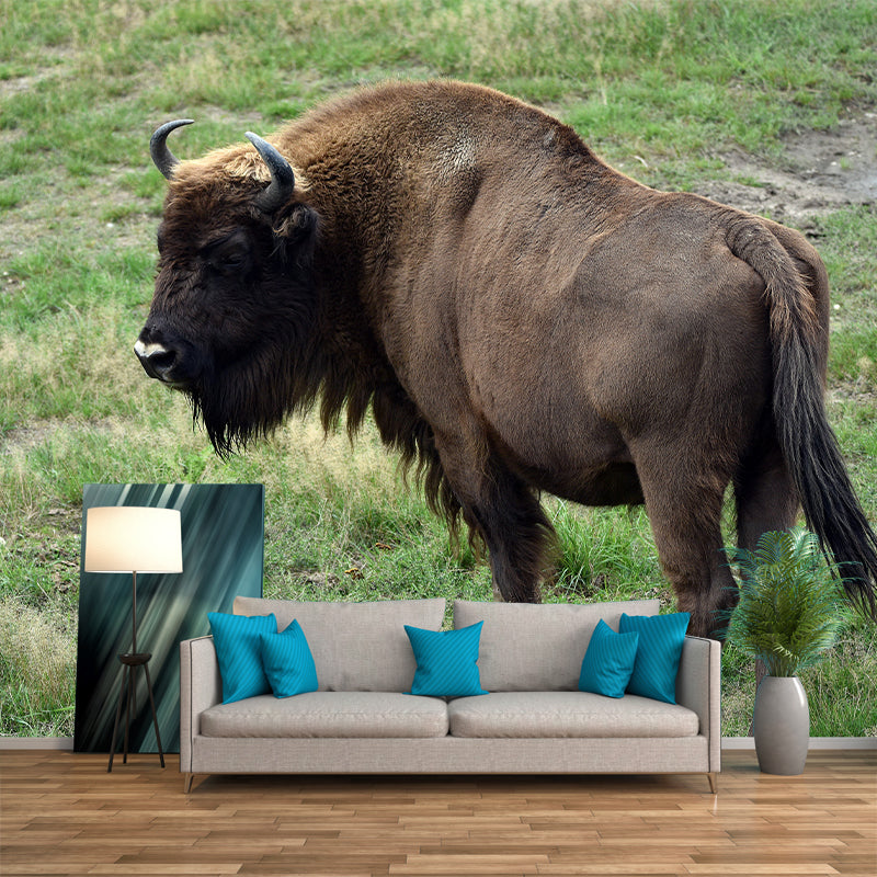 Bison Wall Covering for Sitting Room Water Resistant Mural, Made to Measure