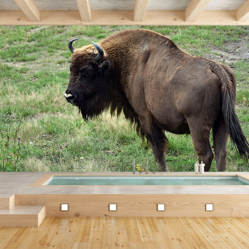 Bison Wall Covering for Sitting Room Water Resistant Mural, Made to Measure