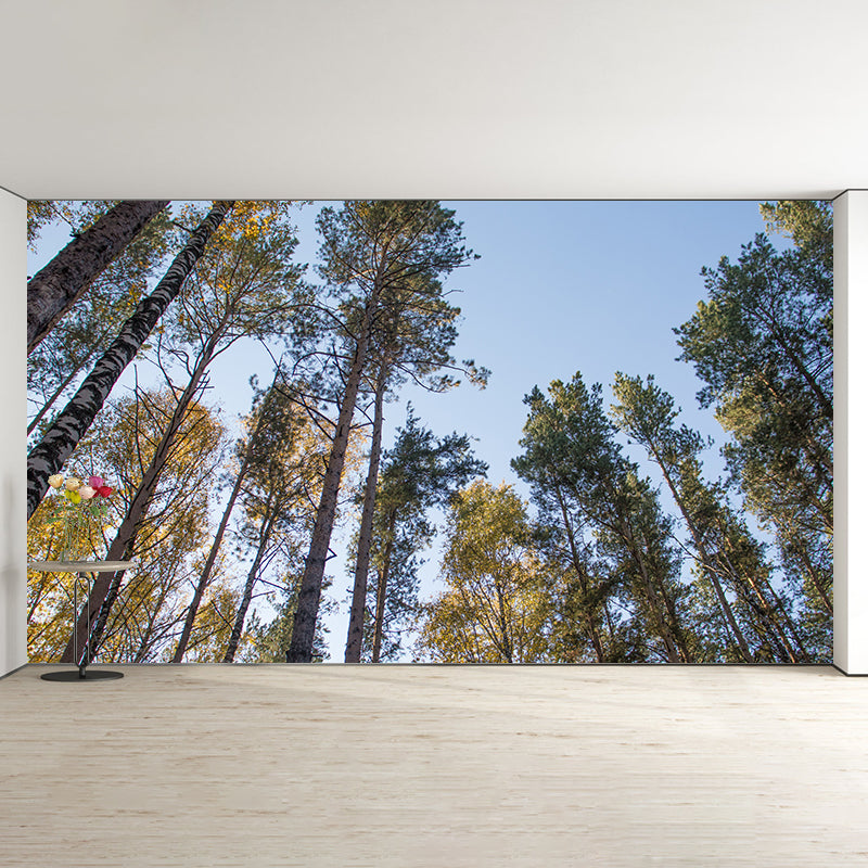 Forest Trees Urals Moisture Resistant Contemporary Hallway Wall Decoration