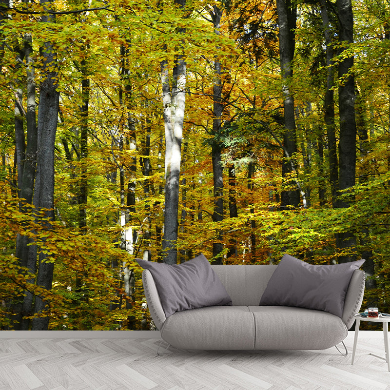 Forest Trees Urals Moisture Resistant Contemporary Hallway Wall Decoration